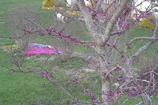 703 Garren Creek Rd, Fairview, NC 28730 - Photo 45