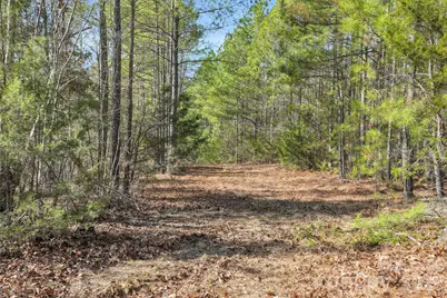 0000 Shannon Road, Blackstock, SC 29014 - Photo 41