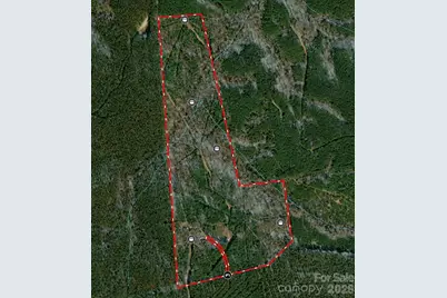 0000 Shannon Road, Blackstock, SC 29014 - Photo 5