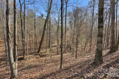 0000 Shannon Road, Blackstock, SC 29014 - Photo 3