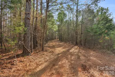0000 Shannon Road, Blackstock, SC 29014 - Photo 47