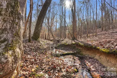 0000 Shannon Road, Blackstock, SC 29014 - Photo 23