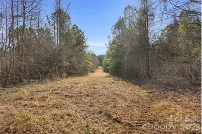 0000 Shannon Road, Blackstock, SC 29014 - Photo 21