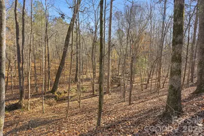 0000 Shannon Road, Blackstock, SC 29014 - Photo 27
