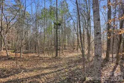 0000 Shannon Road, Blackstock, SC 29014 - Photo 13