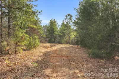 0000 Shannon Road, Blackstock, SC 29014 - Photo 43