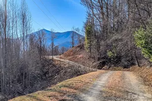 305 Majestic Mountain Dr, Burnsville, NC 28714 - Photo 45