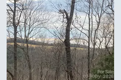 00 Summer Road #20.44 Acres, Hendersonville, NC 28792 - Photo 21