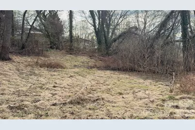 39 Lanvale Avenue, Asheville, NC 28806 - Photo 1