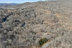 32 Zebulon Ln, Mars Hill, NC 28754 - Photo 45