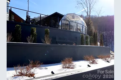 32 Zebulon Lane, Mars Hill, NC 28754 - Photo 47