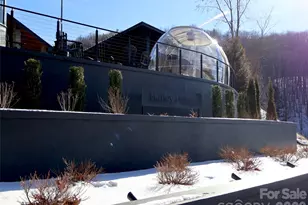 32 Zebulon Ln, Mars Hill, NC 28754 - Photo 47