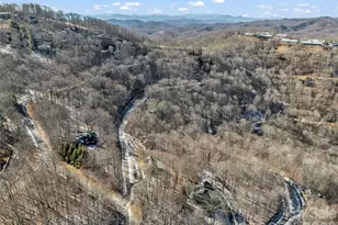 32 Zebulon Ln, Mars Hill, NC 28754 - Photo 43