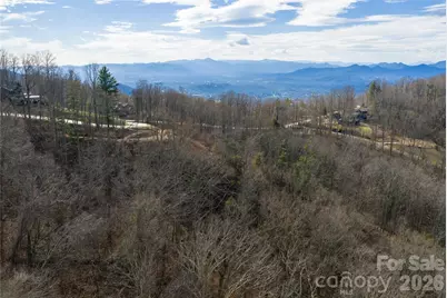 99999 Elk Mountain Scenic Highway #1 & 2, Asheville, NC 28804 - Photo 3