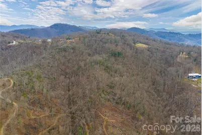 99999 Elk Mountain Scenic Highway #1 & 2, Asheville, NC 28804 - Photo 7