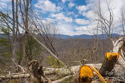 99999 Elk Mountain Scenic Highway #1 & 2, Asheville, NC 28804 - Photo 13