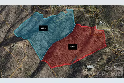 99999 Elk Mountain Scenic Highway #1 & 2, Asheville, NC 28804 - Photo 27