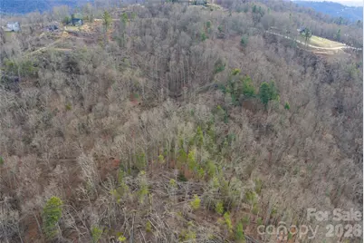 99999 Elk Mountain Scenic Highway #1 & 2, Asheville, NC 28804 - Photo 23