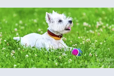 10221 Florentine Way, Charlotte, NC 28214 - Photo 13