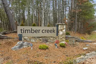 132 Camellia Way, Hendersonville, NC 28739 - Photo 43