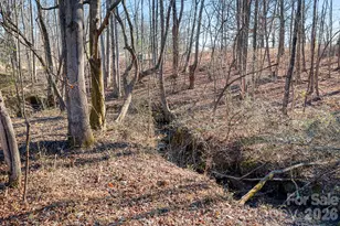 1133 Clemmay Trail, Lincolnton, NC 28092 - Photo 29