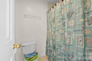 299 Blue Ridge Dr S, Marion, NC 28752 - Photo 15