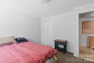 299 Blue Ridge Dr S, Marion, NC 28752 - Photo 19