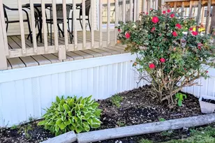 29 Polka Ln, Waynesville, NC 28785 - Photo 31