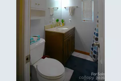 29 Polka Lane, Waynesville, NC 28785 - Photo 7