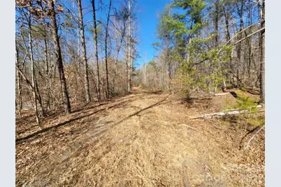 0 Smith Waldrop Road, Columbus, NC 28722 - Photo 7