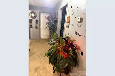 8 Hemlock Road, Asheville, NC 28803 - Photo 3