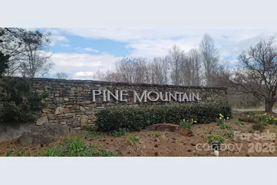 7882 Kinglet Road, Connelly Springs, NC 28612 - Photo 39