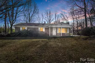 755 Mt Olivet Rd, Zirconia, NC 28790 - Photo 35