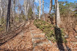 755 Mt Olivet Rd, Zirconia, NC 28790 - Photo 25