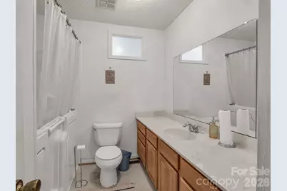 755 Mount Olivet Road, Zirconia, NC 28790 - Photo 19