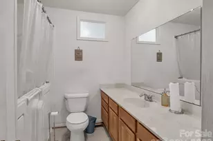 755 Mt Olivet Rd, Zirconia, NC 28790 - Photo 19