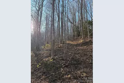 V/L Brindlewood Drive #38V, Nebo, NC 28761 - Photo 7