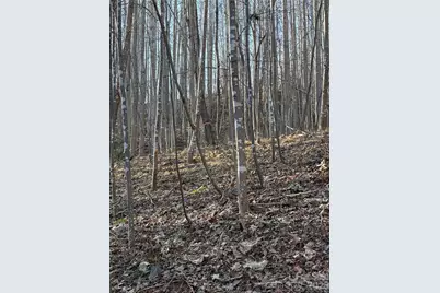 V/L Brindlewood Drive #38V, Nebo, NC 28761 - Photo 11