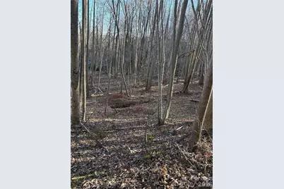 V/L Brindlewood Drive #38V, Nebo, NC 28761 - Photo 9