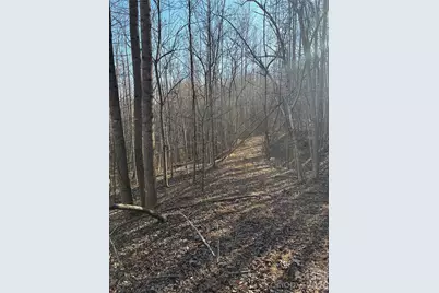 V/L Brindlewood Drive #38V, Nebo, NC 28761 - Photo 3