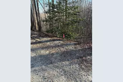 V/L Brindlewood Drive #38V, Nebo, NC 28761 - Photo 13