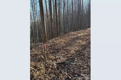 V/L Brindlewood Drive #38V, Nebo, NC 28761 - Photo 5