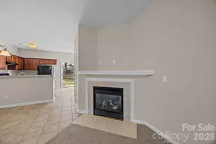 3527 Creeping Flora Ln, Charlotte, NC 28216 - Photo 9