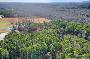 1146 Landrum Rd, Columbus, NC 28722 - Photo 45