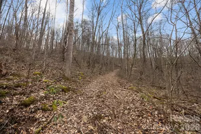 99999 Haynes Cove, Clyde, NC 28721 - Photo 11