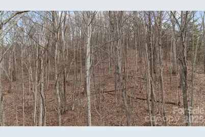 99999 Haynes Cove, Clyde, NC 28721 - Photo 3