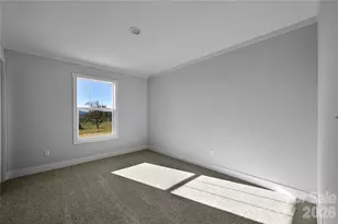 1675 Bull Creek Rd, Marshall, NC 28753 - Photo 17