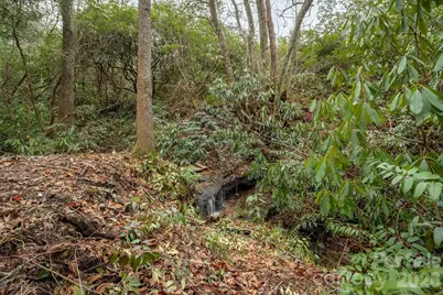 310 Sassafras Gap Lane, Brevard, NC 28712 - Photo 29