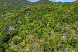45 Sleepy Hollow Dr, Asheville, NC 28805 - Photo 35