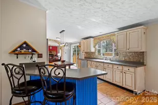 18 Henry White Ln, Leicester, NC 28748 - Photo 15